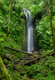 la-amistad-national-park-boquete