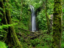 Parc National la Amistad