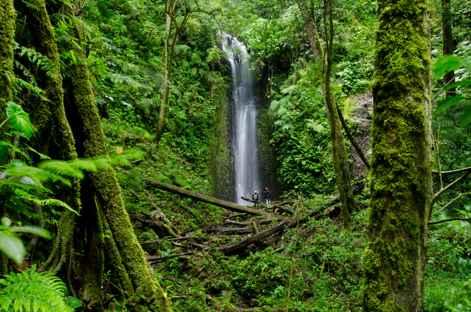 la-amistad-national-park-boquete