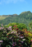 valle-anton-panama