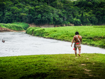 bayaneros panama