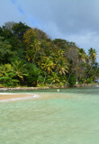 ile mamey panama