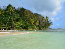 ile mamey panama