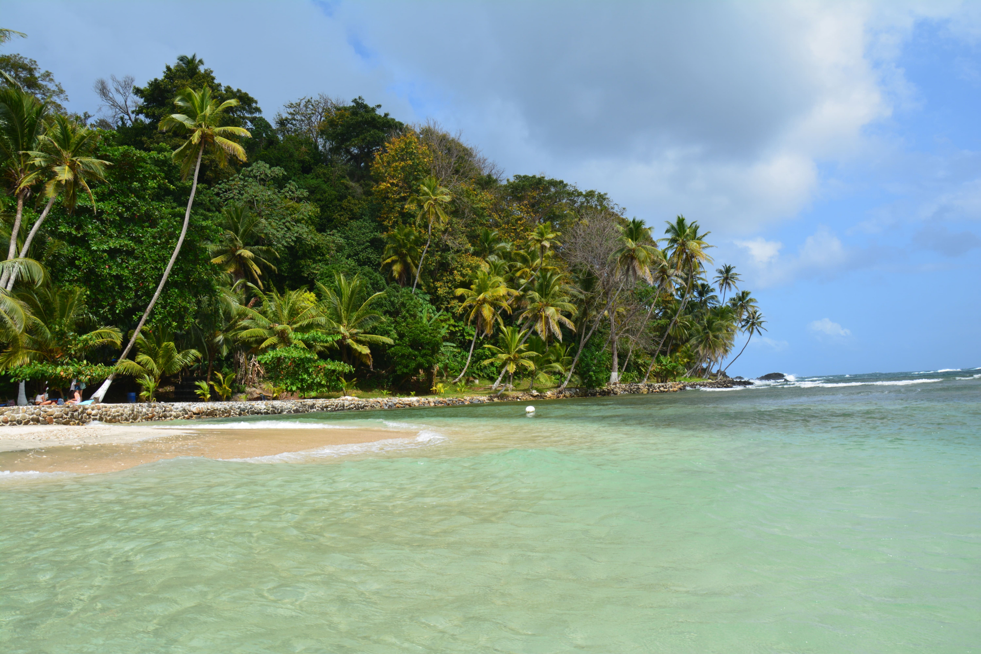 ile mamey panama