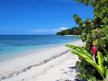 Plage Bocas del Toro