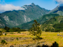 Volcan Baru