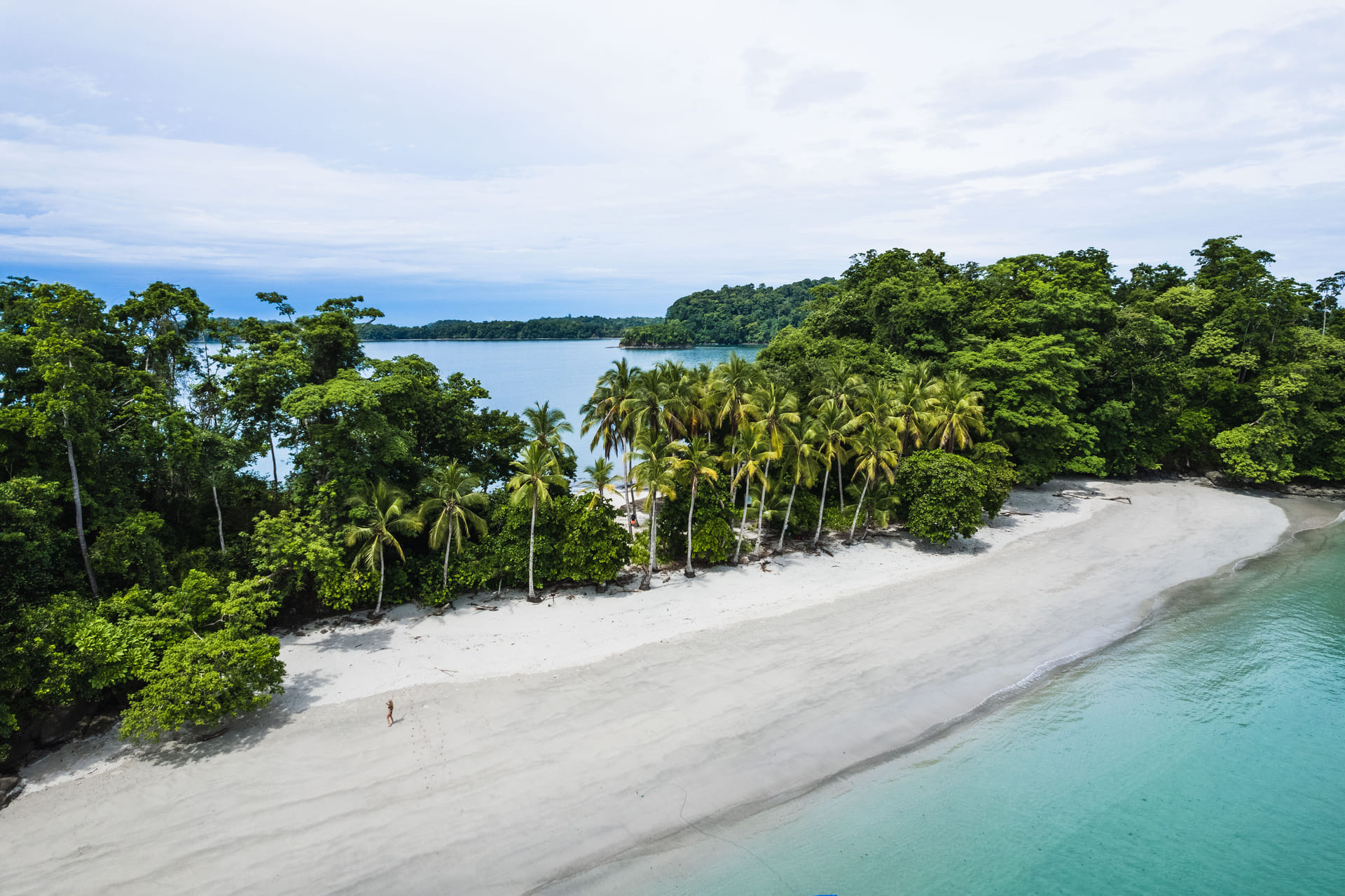 ile-iguanes-panama