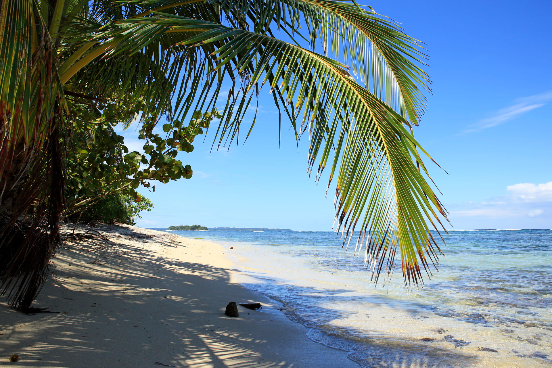 plage-zapatillas-sur-bocas-del-toro-panama